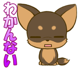 Chihuahuatan2 sticker #1430507