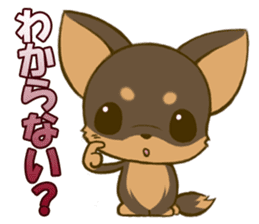 Chihuahuatan2 sticker #1430508