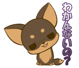 Chihuahuatan2 sticker #1430509