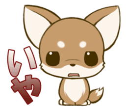 Chihuahuatan2 sticker #1430510