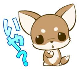 Chihuahuatan2 sticker #1430512