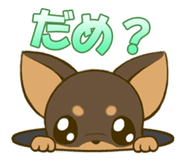 Chihuahuatan2 sticker #1430516