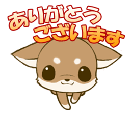 Chihuahuatan2 sticker #1430518