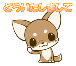 Chihuahuatan2 sticker #1430519