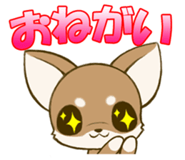 Chihuahuatan2 sticker #1430520