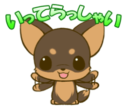Chihuahuatan2 sticker #1430523