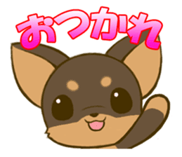 Chihuahuatan2 sticker #1430524