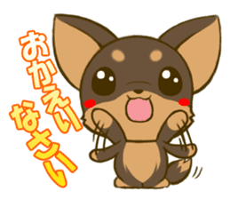 Chihuahuatan2 sticker #1430526