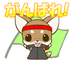 Chihuahuatan2 sticker #1430528