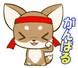 Chihuahuatan2 sticker #1430529