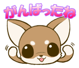 Chihuahuatan2 sticker #1430530