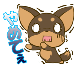 Chihuahuatan2 sticker #1430531