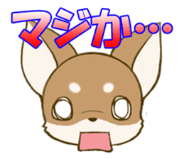 Chihuahuatan2 sticker #1430536