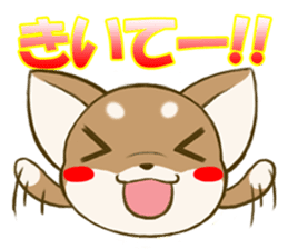 Chihuahuatan2 sticker #1430537