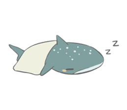Shark and Whale Shark sticker #1432151