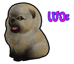 Pom&Per sticker #1432541