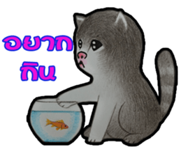 Pom&Per sticker #1432565