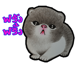 Pom&Per sticker #1432566