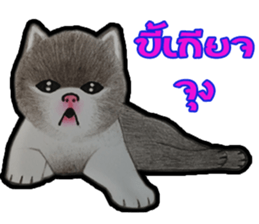 Pom&Per sticker #1432567