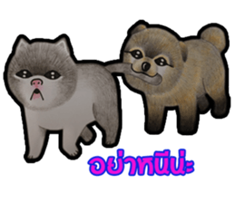 Pom&Per sticker #1432571