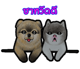 Pom&Per sticker #1432576