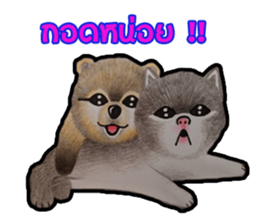 Pom&Per sticker #1432577