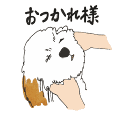 Feeling of the Shih Tzu sticker #1434214