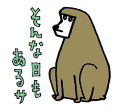 Chat ANIMALS sticker #1434814