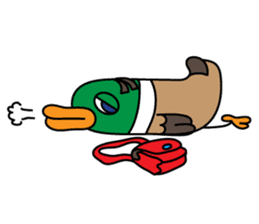 PinPon The Duck & PiPo sticker #1437630