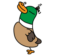 PinPon The Duck & PiPo sticker #1437631