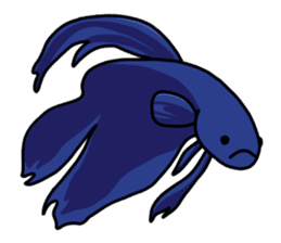 Daily life of Betta sticker #1438658
