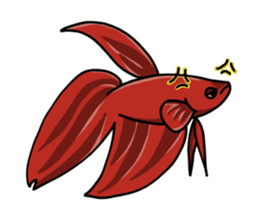 Daily life of Betta sticker #1438660