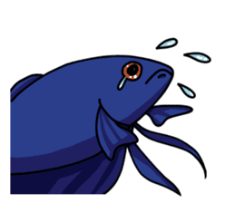 Daily life of Betta sticker #1438661