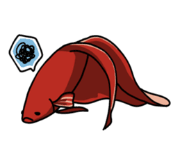 Daily life of Betta sticker #1438664