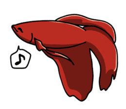 Daily life of Betta sticker #1438670