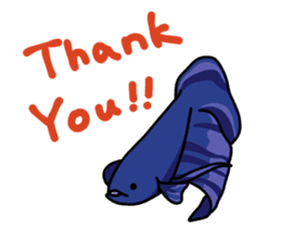 Daily life of Betta sticker #1438677