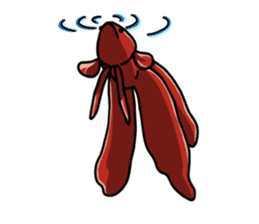 Daily life of Betta sticker #1438684