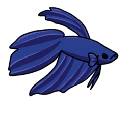 Daily life of Betta sticker #1438687