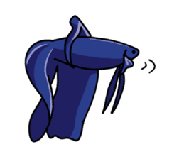 Daily life of Betta sticker #1438689