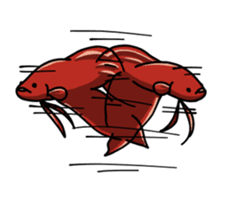 Daily life of Betta sticker #1438692