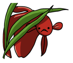 Daily life of Betta sticker #1438697