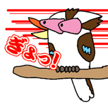 Happy bird Kookaburra! sticker #1440761