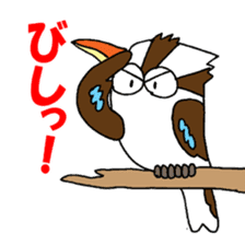 Happy bird Kookaburra! sticker #1440769