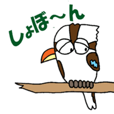 Happy bird Kookaburra! sticker #1440775