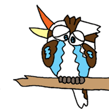 Happy bird Kookaburra! sticker #1440784