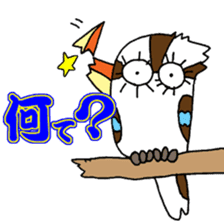 Happy bird Kookaburra! sticker #1440792