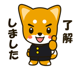 SHIBAINU sticker #1443768