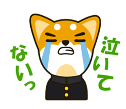 SHIBAINU sticker #1443773