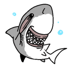 Great White Shark 2 sticker #1444634