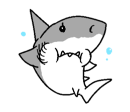 Great White Shark 2 sticker #1444641